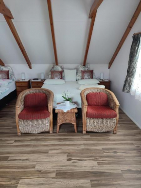 Luxurious studio room